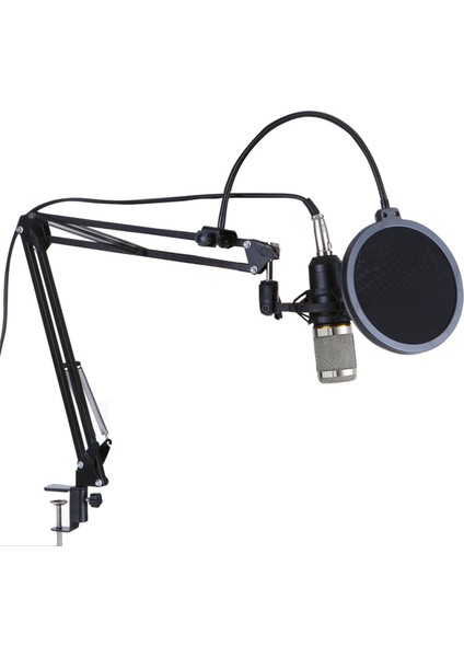 BM800 Profesyonel Kondansatör Mikrofon Asma Seti (Yurt Dışından)