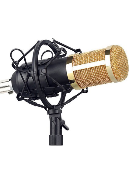 Oynama ve Müzik Kaydı Için Bilgisayar Kondenser Mikrofon Seti (Yurt Dışından)