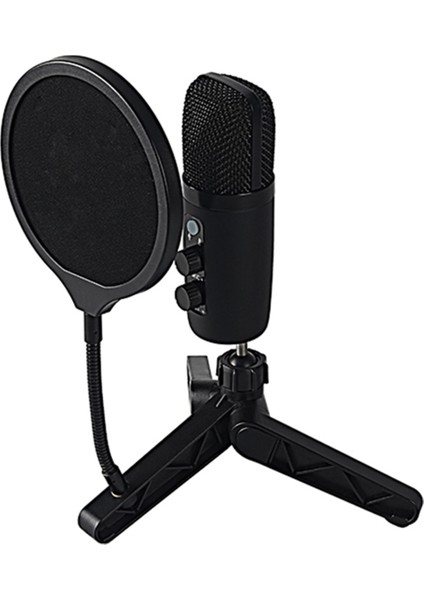 Stüdyo Kaydı ve Karaoke Şarkısı Için Masaüstü Mikrofon Seti (Yurt Dışından)