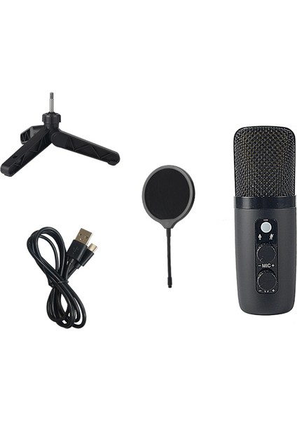 Stüdyo Kaydı ve Karaoke Şarkısı Için Masaüstü Mikrofon Seti (Yurt Dışından)