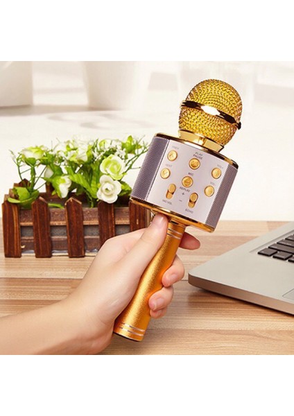 Canlı Telefon K Şarkısı Bt Mikrofonu (Yurt Dışından) fiyatları