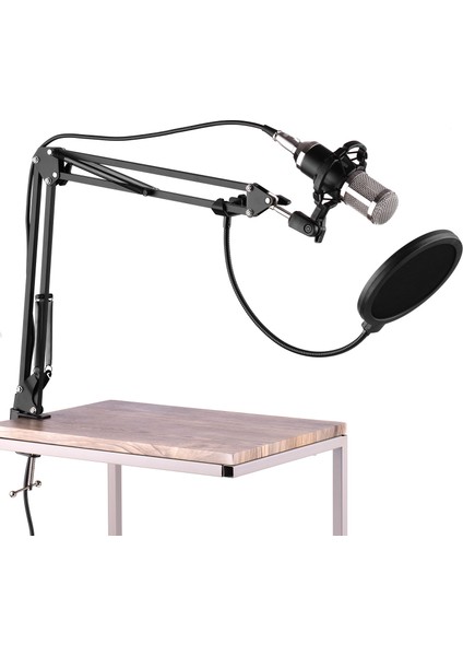 Profesyonel Yayın Stüdyosu Kondansatör Mikrofon Seti Ayarlanabilir Stand Pop Filtresi (Yurt Dışından)