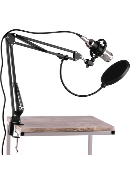 Profesyonel Yayın Stüdyosu Kondansatör Mikrofon Seti Ayarlanabilir Stand Pop Filtresi (Yurt Dışından)