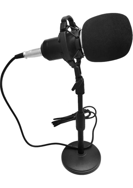 BM-800 Taşınabilir Yüksek Hasiyetli Kondansatör Mikrofon (Yurt Dışından)