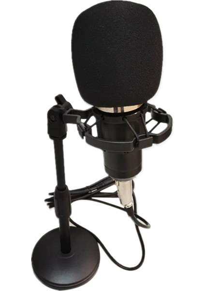 BM-800 Taşınabilir Yüksek Hasiyetli Kondansatör Mikrofon (Yurt Dışından)