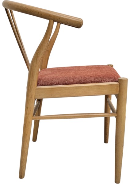 Hasağaç Bone Ahşap Modern Sandalye