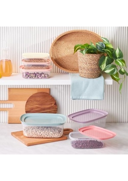 Vicks Light 6'lı Saklama Kabı modelleri