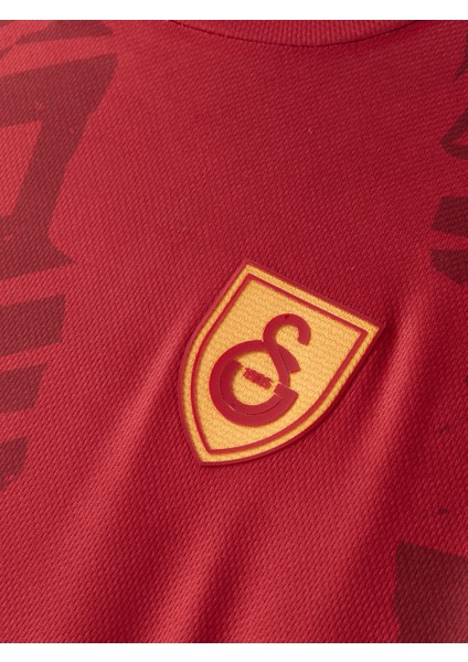 Galatasaray Erkek Morata Design Fc T-Shirt E251275 modelleri