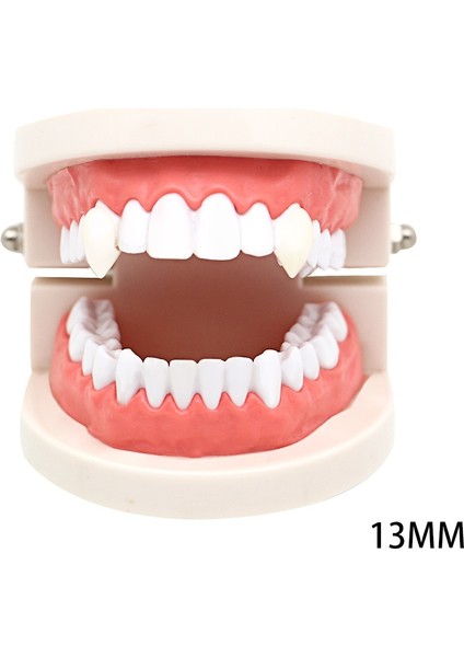 4 Boyutu Vampir Dişleri Dişleri Protez Sahne Cadılar Bayramı Kostüm Sahne Parti Malzemeleri Tatil Dıy Süslemeleri Korku Yetişkin Çocuklar Için (Yurt Dışından) fırsatları