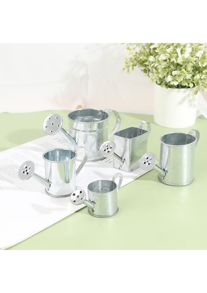 Dollhouse Minyatür Metal Sulama Kabı Model Dollhouse Dekorasyon Aksesuarları (Yurt Dışından) fırsatları