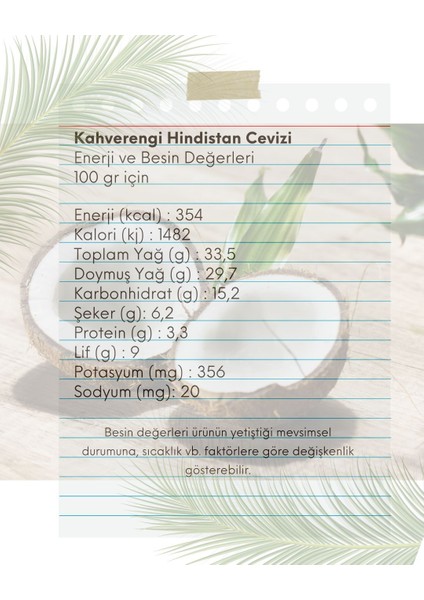 Hindistan Cevizi (Kahverengi) (Ithal) fırsatları