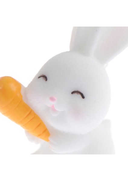 Adet Paskalya Tavşanı Havuç Minyatür Bahçe Dekor Mini Tavşan Paskalya Kek Dekor (Yurt Dışından) fırsatları