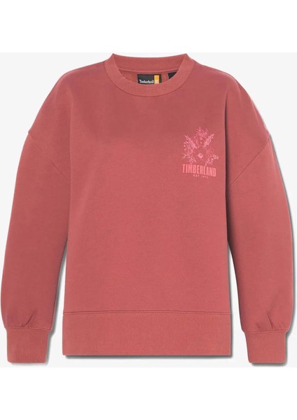 Brushed Chest Graphıc Crew Sweatshırt modelleri