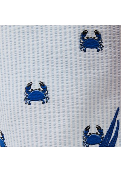 Erkek Lacivert Regular Fit Çizgili Deniz Şortu T55114T.4NV indirimleri