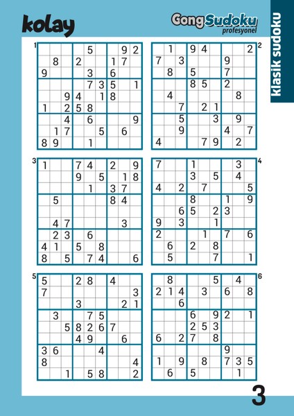 Gong Profesyonel Sudoku 2025/02