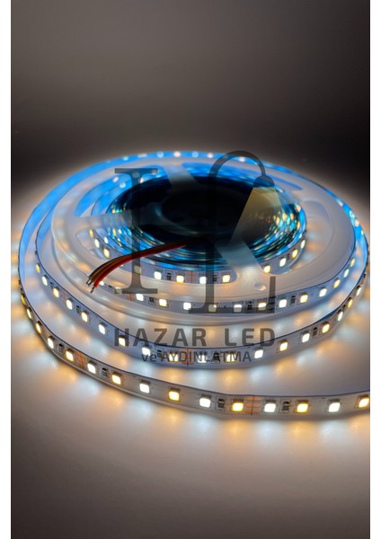 12 Volt 2835 Smd 120 Ledli Tunable Çift Renkli Şerit LED Cct IP20 Iç Mekan 5 Metre
