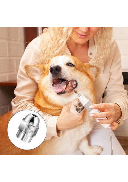 Yedek 4486 Matkap Aynası Pens Seti Pirinç Matkap Pensesini Değiştirin 1/8ın x 2, 3/32IN x 2, 1/16IN x 2, 1/32IN x 2 (Yurt Dışından) modelleri