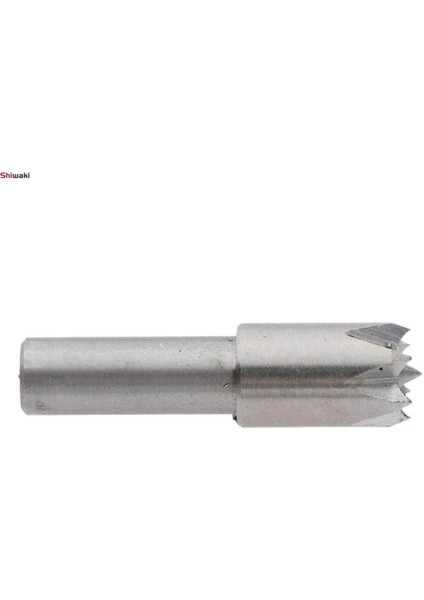 2 Adet 6mm Shank Erik Çiçeği Yüksük Matkap Ucu Mini Torna Makinesi Aksesuarları (Yurt Dışından)