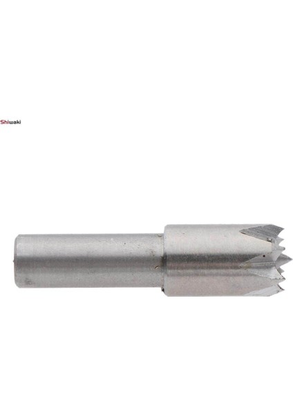 2 Adet 6mm Shank Erik Çiçeği Yüksük Matkap Ucu Mini Torna Makinesi Aksesuarları (Yurt Dışından)