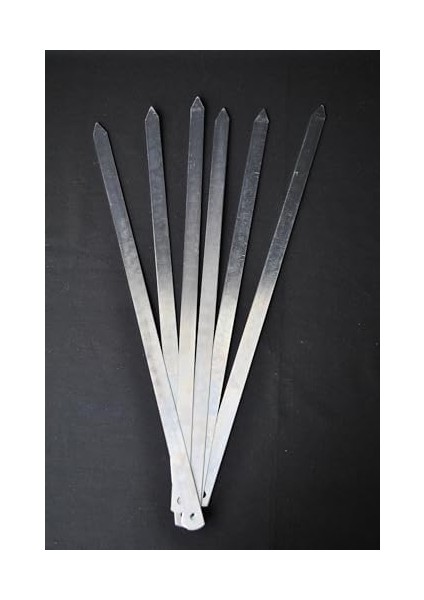 6 Adet Profosyonel Paslanmaz Metal Kıyma Şiş (Adana-Urfa-Antep Kebap Şişi)