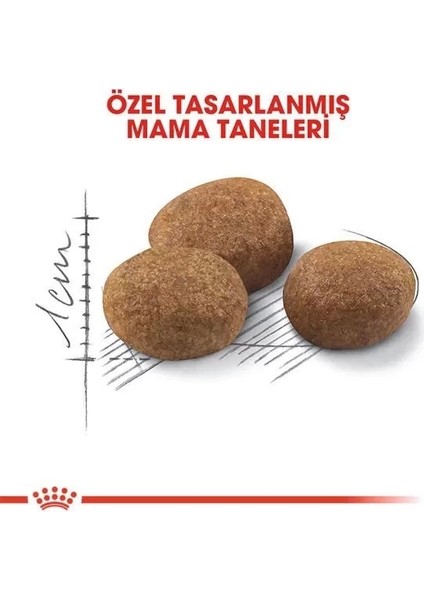Sterilised 7+ Kısırlaştırılmış Kedi Maması 3.5 kg