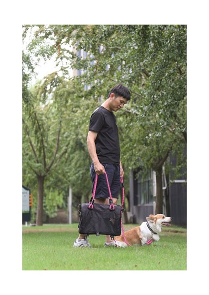 2in1 Remix Omuz Kemerli Kedi ve Küçük Irk Köpek Taşıma Çantası Pembe Siyah 41 x 28 x 28 cm modelleri