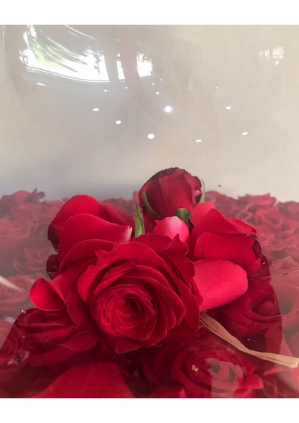 - Baş Harflerle Süslü Siyah Kutuda Kırmızı Güller ve Balon modelleri