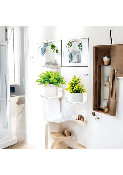 Modern, Dayanıklı ve Çok Amaçlı Pleksi Saksı Rafı & Düzenleyici ( 2 Adet )