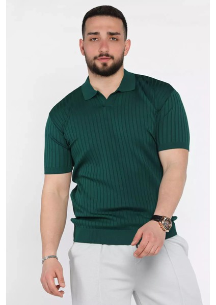 Erkek Polo Yaka Kendinden Çizgi Desenli Triko Tişört P-00015202 fiyatları