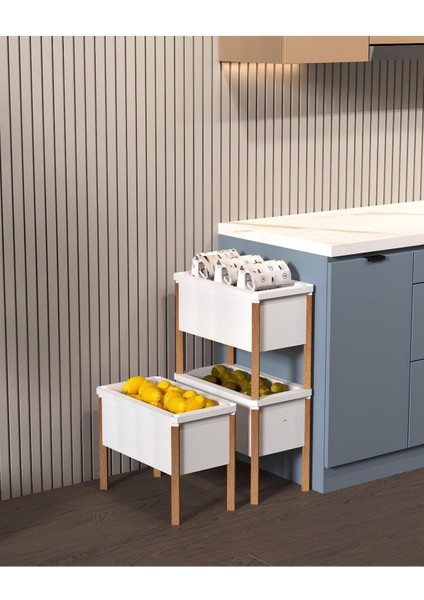 Bienwood Bie 7079 Ahşap Ayaklı 3'lü Plastik Çok Amaçlı Dolap (Oyuncak Dolabı, Mutfak Kiler Dolabı) modelleri