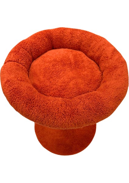 2 Si 1 Arada | Kedi Tırmalama Tahtalı ve Yuvarlak Kedi Yatağı | Yumuşacık Dolgulu Boncul Elyaf, 40 cm Yatak, 55 cm Uzunluk |en Çok Tercih Edilen fırsatları