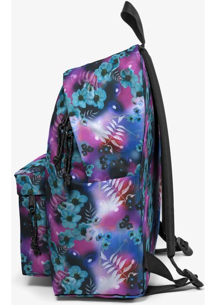 Padded Pak'r.7s6 fiyatları