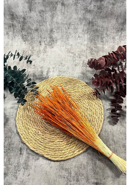 Turuncu Solucan Otu Doğal Kurutulmuş Kuru Çiçek Solucan Otu Gelin Buketi Aranjman Çiçeği