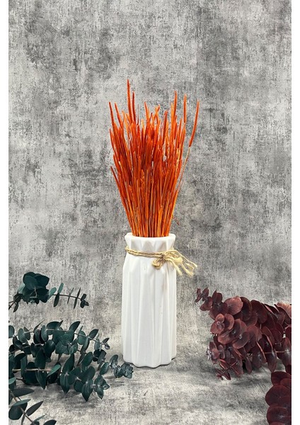 Turuncu Solucan Otu Doğal Kurutulmuş Kuru Çiçek Solucan Otu Gelin Buketi Aranjman Çiçeği fiyatları