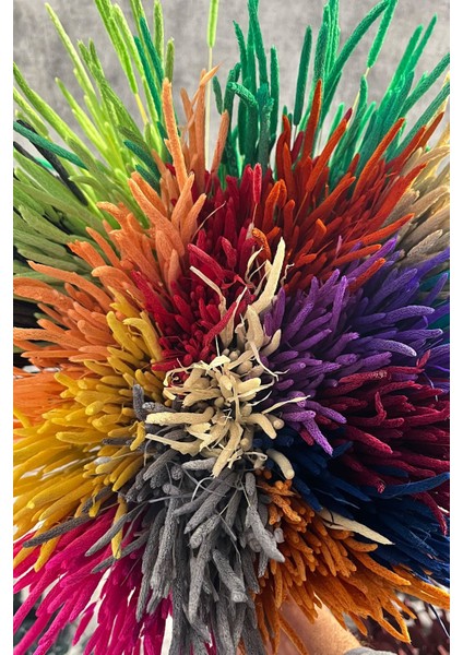 Turuncu Solucan Otu Doğal Kurutulmuş Kuru Çiçek Solucan Otu Gelin Buketi Aranjman Çiçeği modelleri