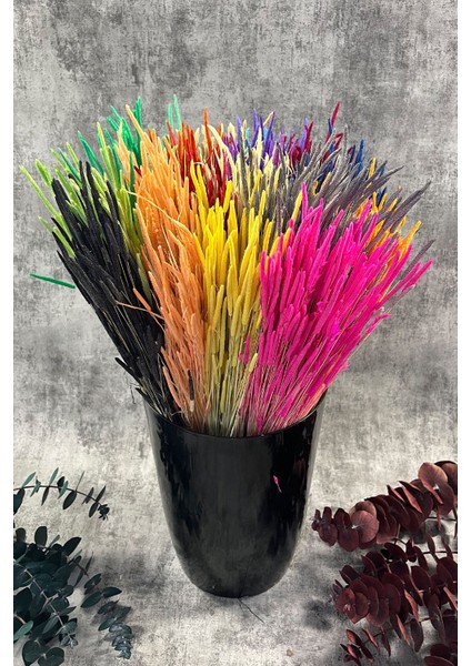 Turuncu Solucan Otu Doğal Kurutulmuş Kuru Çiçek Solucan Otu Gelin Buketi Aranjman Çiçeği fırsatları