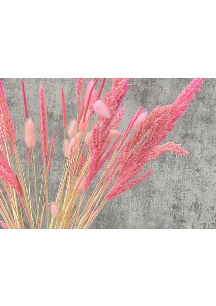 Pembe Renkli Karışık Kuru Çiçek Buketi Goya modelleri