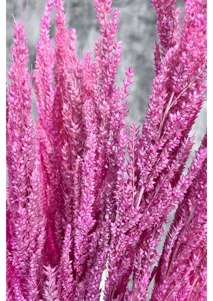 Pembe Bulgur Otu Vazo Aranjman Çiçeği