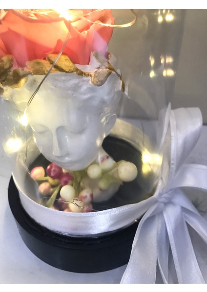 - Işıklı Cam Fanusta Pembe Ölümsüz Gül fırsatları