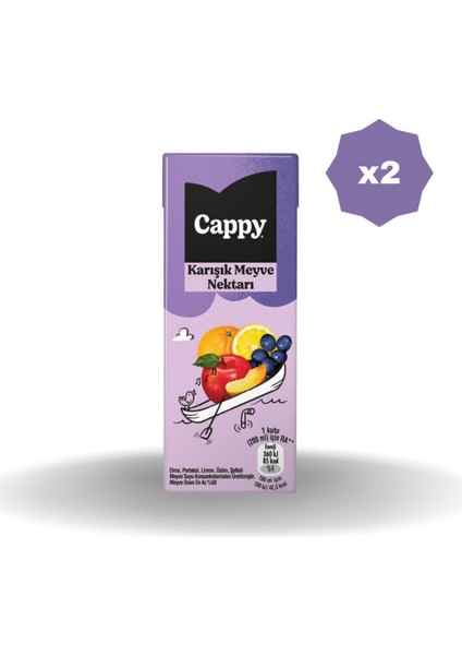 Karışık Meyve Nektarı 200 ml - (2 Adet)