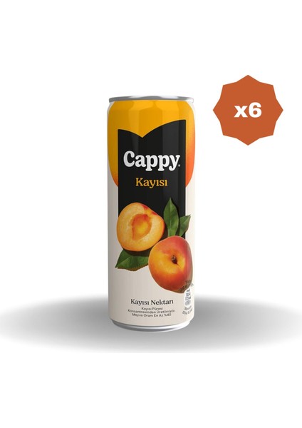Kayısı Nektarı Kutu 330 ml - (6 Adet)