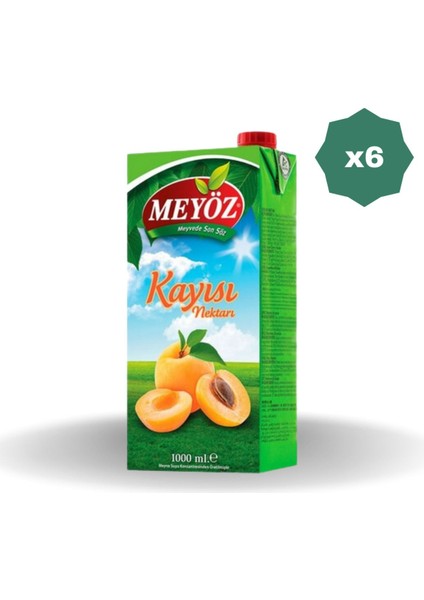 Kayisili Meyve Nektari 1 Lt - (6 Adet)