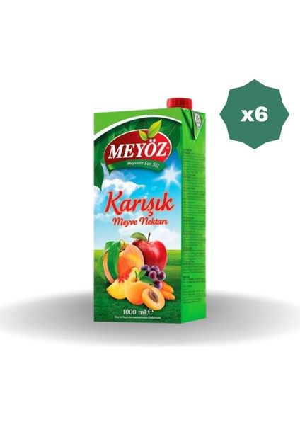 Karışık Meyve Nektarı 1 Lt - (6 Adet)