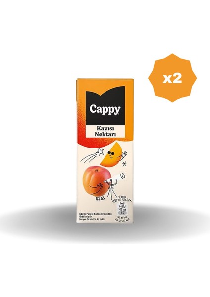 Kayısılı Meyve Nektarı 200 ml - (2 Adet)