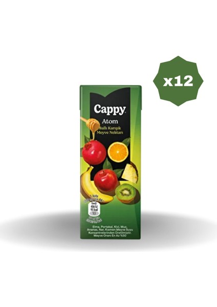 Atom Meyve Nektarı 200 ml - (12 Adet)