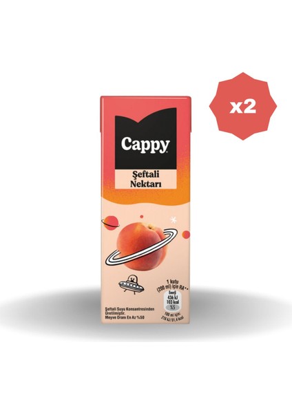 Şeftali Meyve Nektarı 200 ml - (2 Adet)