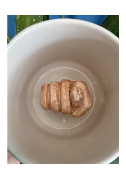 Kupa