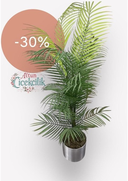 Yapay Ağaç Areka 1.50 Metre