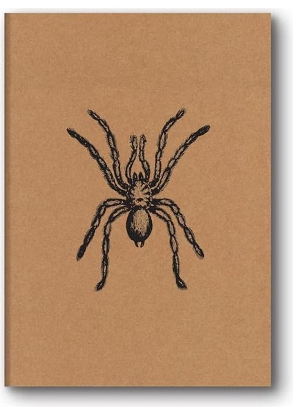Color Kraft Defter Düz Örümcek