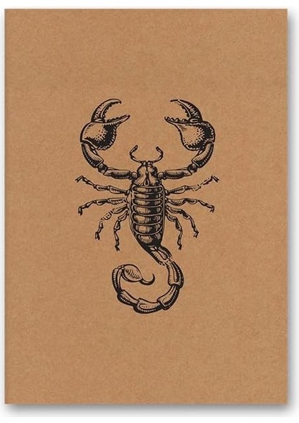 Color Kraft Defter Düz Akrep